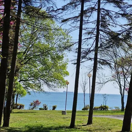 Marbel - An Exquisitely Designed Retreat In The Heart Of By The Sea Garden With Free Parking